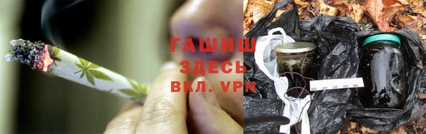 ECSTASY Богородск