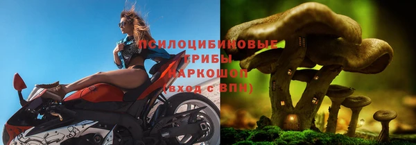 амфетамин Богданович