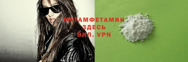 индика Бородино