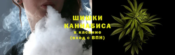 индика Бородино