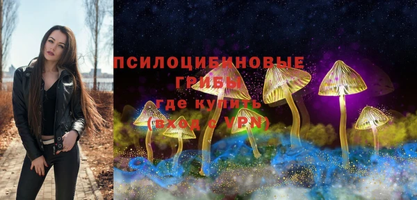 индика Бородино