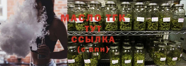 индика Бородино