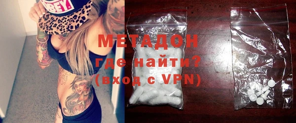 индика Бородино