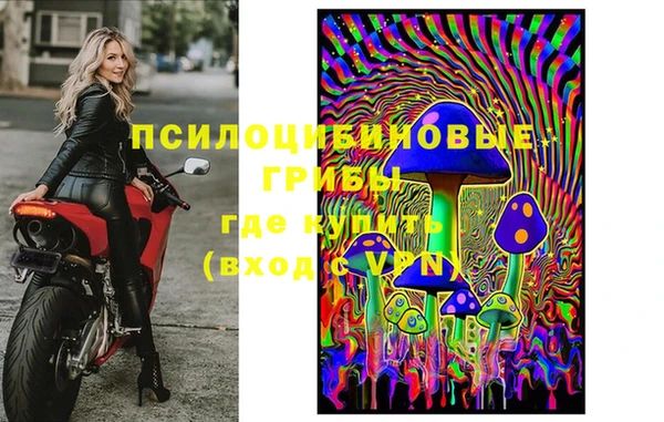 МДПВ Бугульма
