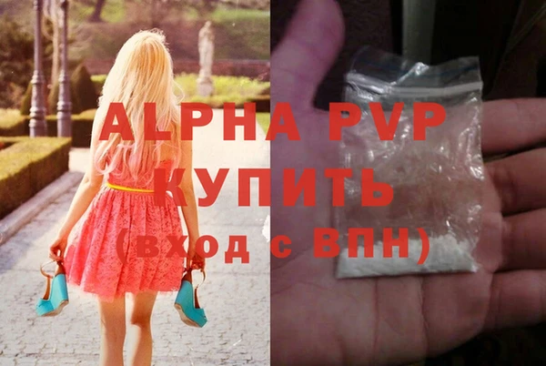 индика Бородино