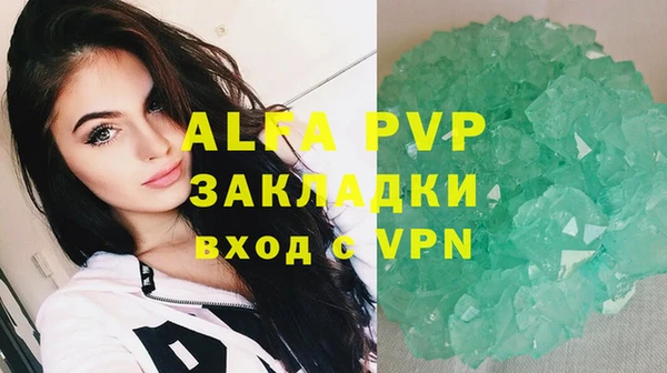 индика Бородино