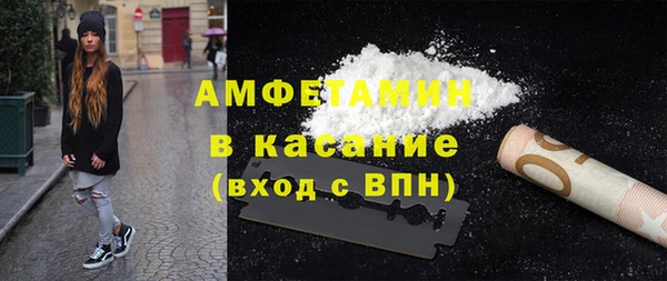 индика Бородино