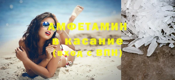 индика Бородино