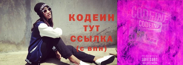 индика Бородино