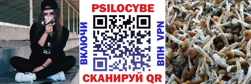 наркошоп Нижний Новгород Псилоцибиновые грибы ЛСД