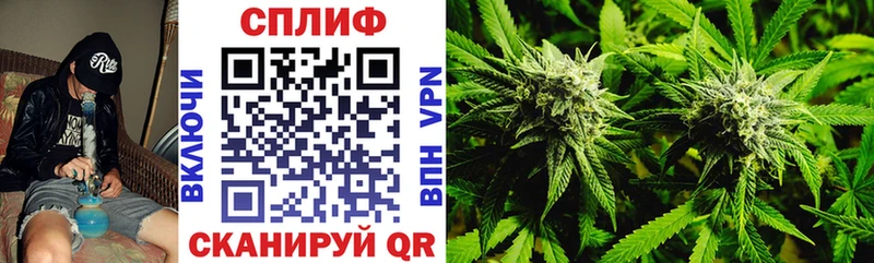 Шишки марихуана ГИДРОПОН  гидра ссылка  Нижний Новгород 
